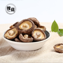 Chinois en vrac séché shiitake champignons en gros